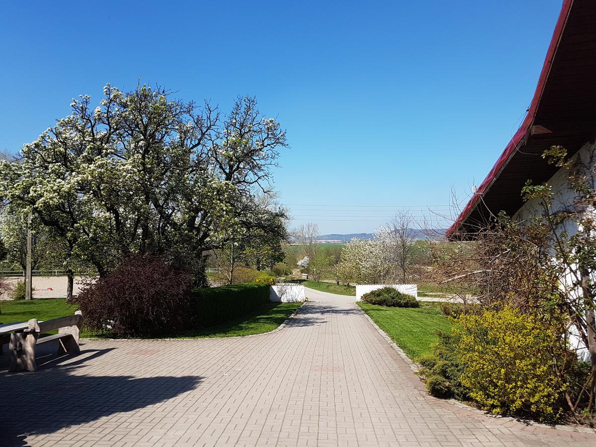 Villa Folwark Leszczynowka à Srebrna Góra Extérieur photo